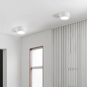 Nordic Style Simple Ceiling Light