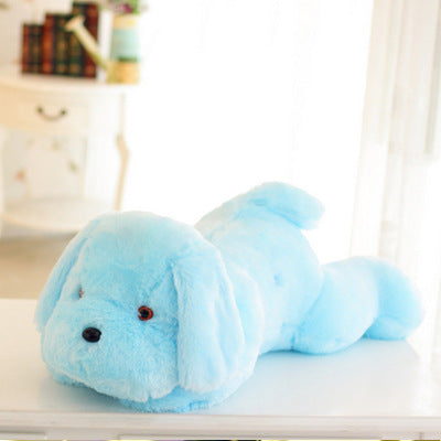 Cute Luminous Puppy