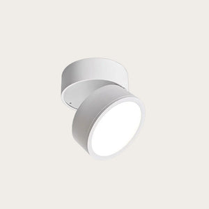 Adjustable 360 Rotation Ceiling Light