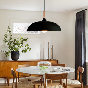 Glarefusion Modern Simple Dome Pendant Light