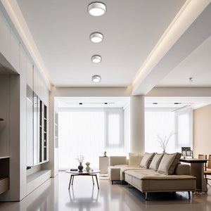 Nordic Style Simple Ceiling Light