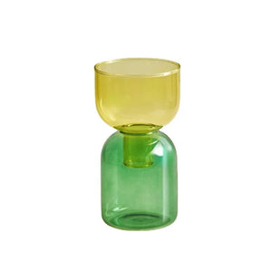 2 Piece Mini Glass Terrarium Vases For Hydroponic Plant Decor 1005005937039100-YellowGreen Set