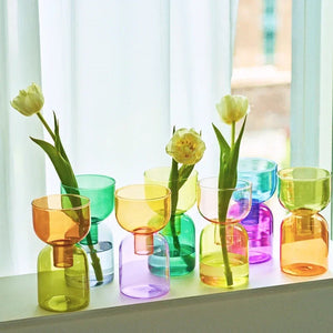 2 Piece Mini Glass Terrarium Vases For Hydroponic Plant Decor 1005005937039100-YellowGreen Set