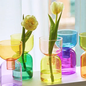 2 Piece Mini Glass Terrarium Vases For Hydroponic Plant Decor 1005005937039100-YellowGreen Set