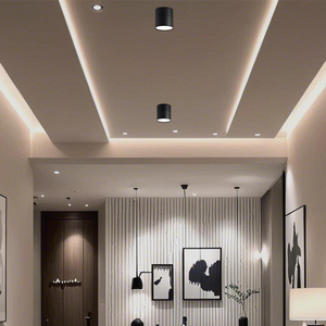 Adjustable 360 Rotation Ceiling Light