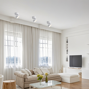 Adjustable 360 Rotation Ceiling Light