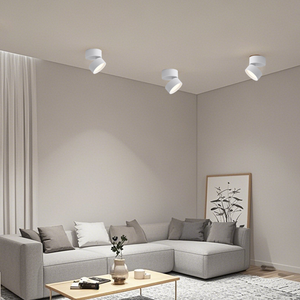 Adjustable 360 Rotation Ceiling Light