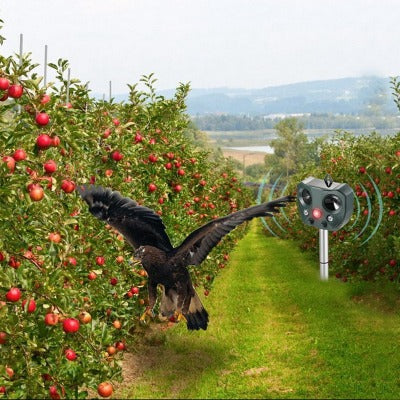Solar Ultrasonic Bird Repeller For Garden Pest Control