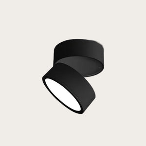 Adjustable 360 Rotation Ceiling Light