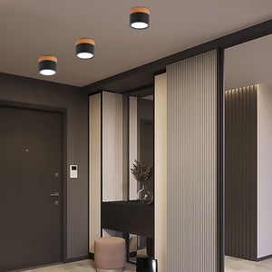 Nordic Simple Cylinder LED Ceiling Light