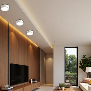 Nordic Style Simple Ceiling Light