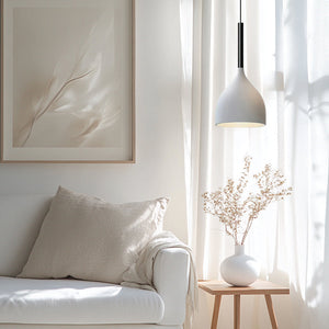 Glarefusion Baking Paint Iron Pendant Light