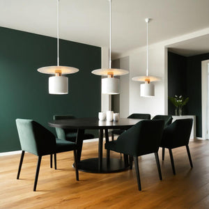 Glarefusion Modern Stylish Pendant Light