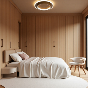 Modern Round Ring Metal Acrylic Ceiling Light