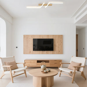 Modern Simple Black Aluminum LED Ceiling Light