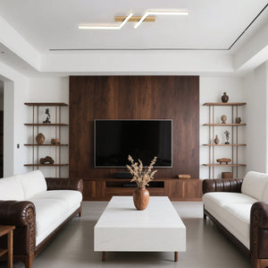 Modern Simple Black Aluminum LED Ceiling Light