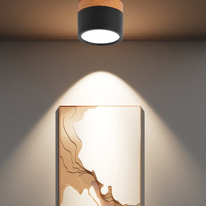 Nordic Simple Cylinder LED Ceiling Light