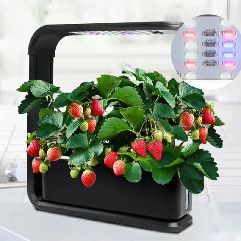 Hydroponic Three-Pod Indoor Vegetable Growing System with LED Light