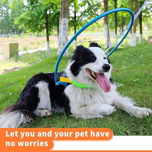 Blind Dog Harness Guiding Device, Pet Anti-Collision Ring for Protective And Build Confidence, Blind Dog Harness