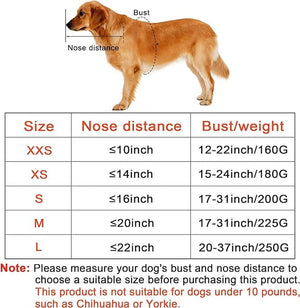 Blind Dog Harness Guiding Device, Pet Anti-Collision Ring for Protective And Build Confidence, Blind Dog Harness