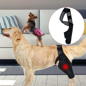 Dog Elbow Brace for Joint Support, Arthritis, and Injury Recovery