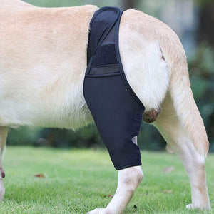 Dog Elbow Brace for Joint Support, Arthritis, and Injury Recovery