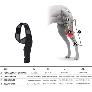 Dog Elbow Brace for Joint Support, Arthritis, and Injury Recovery
