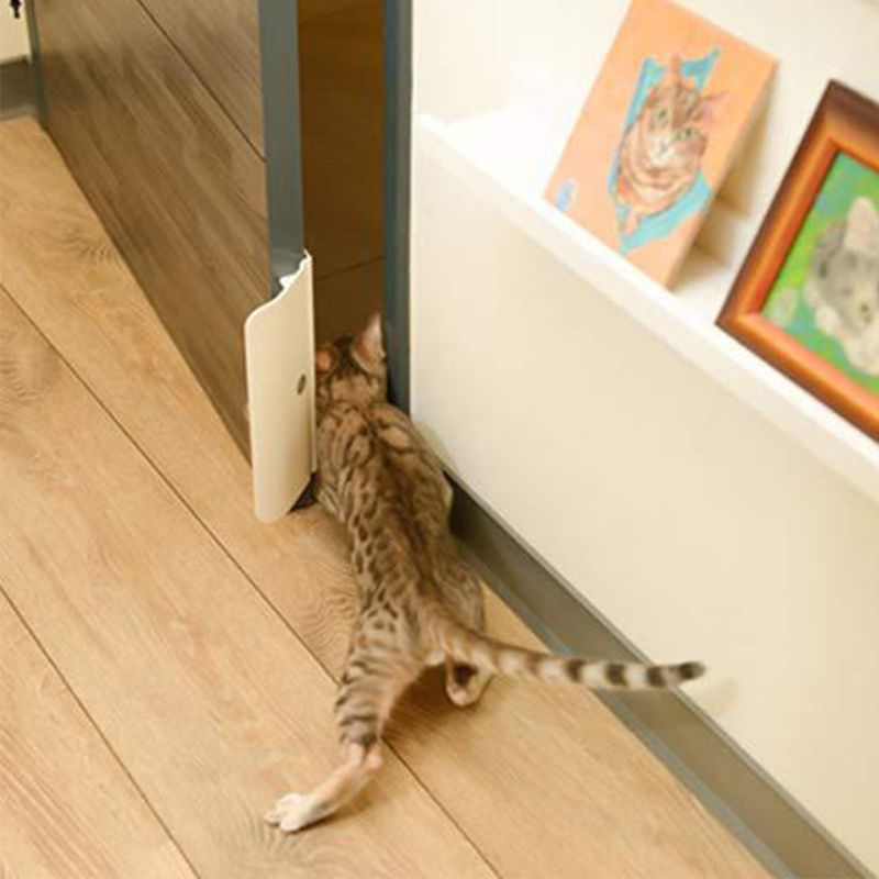 Pet Door Opener
