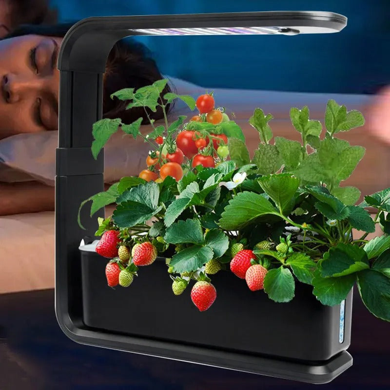 Indoor Hydroponics Growing System Smart Garden System with LED Plant Lamp