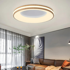 Modern Simplistic Circle Ceiling Light