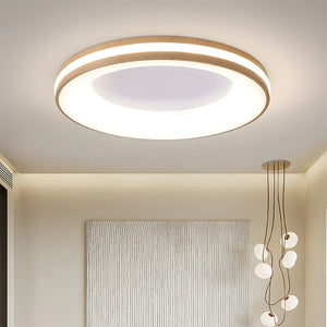Modern Simplistic Circle Ceiling Light