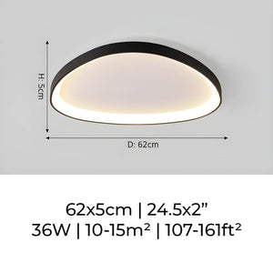 Modern LED Ceiling Light Minimalist Flush Mount Lighting Fixture