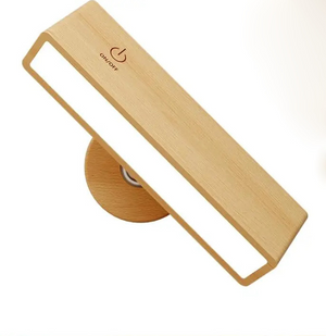 Modern Wooden Rotatable Wall Light