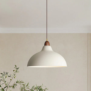 Modern Creative Pot-Shaped Pendant Light