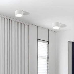 Nordic Style Simple Ceiling Light