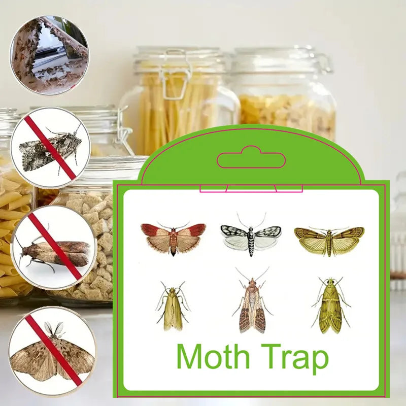 Moth Pheromone Sticky Trap for Clothes and Food