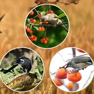 Solar Powered Waterproof Bird Repeller With 13 Sound Alarm Timer 1005008842516942-al