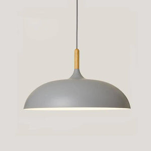 Glarefusion Modern Simple Dome Pendant Light