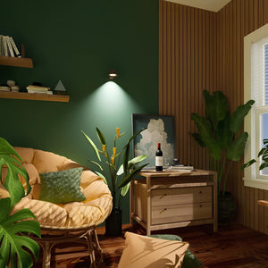 Rechargeable Magnetic Wall Light with Touch Remote and USB Charging