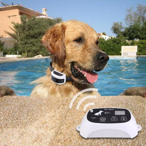 Wireless Waterproof Dog Fence with Adjustable Training Collar