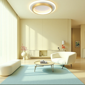 Modern Round Ring Metal Acrylic Ceiling Light