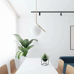 Glass Ball Pendant Light