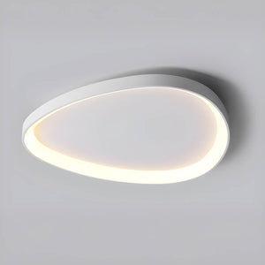 Modern LED Ceiling Light Minimalist Flush Mount Lighting Fixture