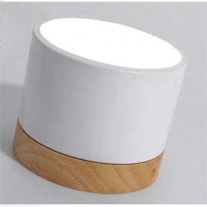 Modern Nordic Ceiling Light LED Wooden