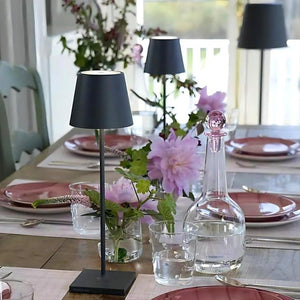 Rechargeable LED Table Lamp Cordless Touch Dimmable Light