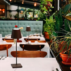 Rechargeable LED Table Lamp Cordless Touch Dimmable Light