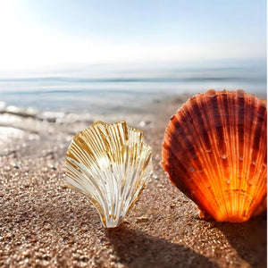 Modern Shell Glass Wall Light – Minimalist Coastal Sconce for Bedroom or Hallway