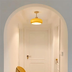 Vintage Bauhaus Glass Disc Ceiling Light