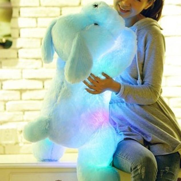 Cute Luminous Puppy