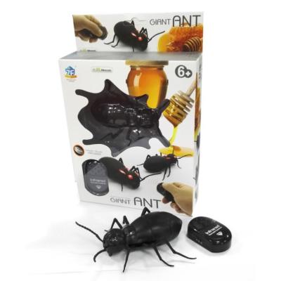 Remote Control Cockroach